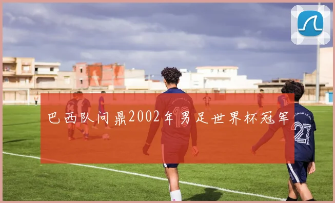 巴西队问鼎2002年男足世界杯冠军