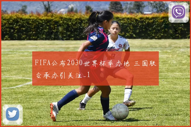 FIFA公布2030世界杯举办地 三国联合承办引关注_1