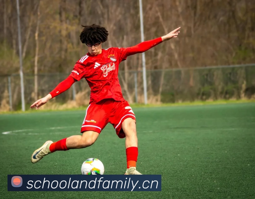 新半岛官网发展历程